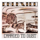 Illustration for article titled A Mega-Gallery Of 80 Auto-Themed Album Covers